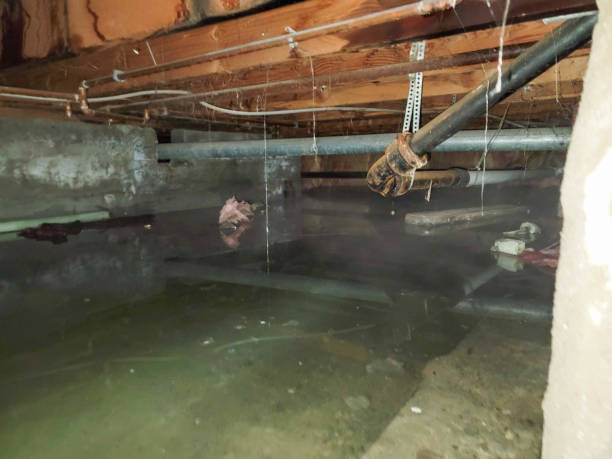 Professional Water damage restoration in Lowell, MA